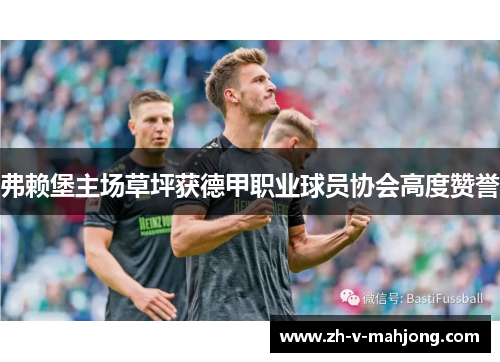 弗赖堡主场草坪获德甲职业球员协会高度赞誉